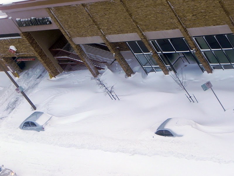 Cars covered in snow